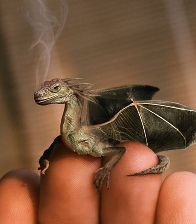 jesterka-draci.jpg
