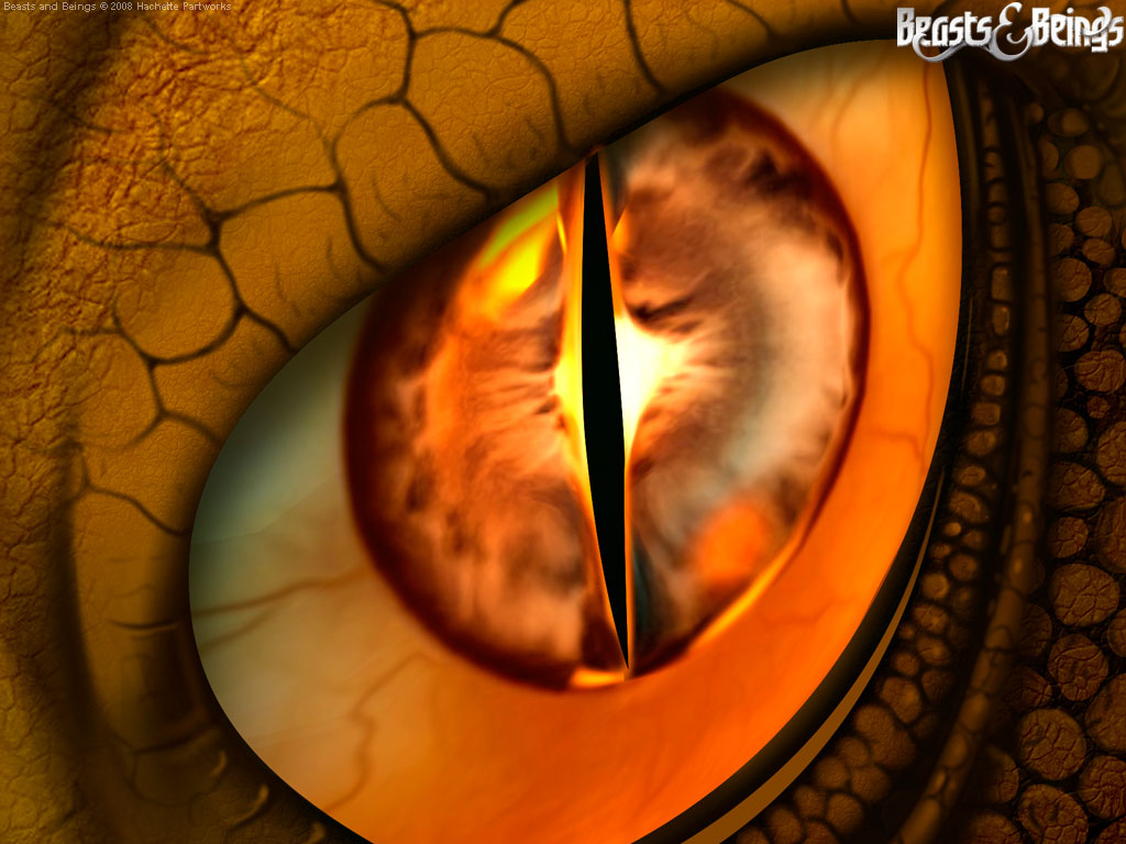 night-vision1024x768.jpg